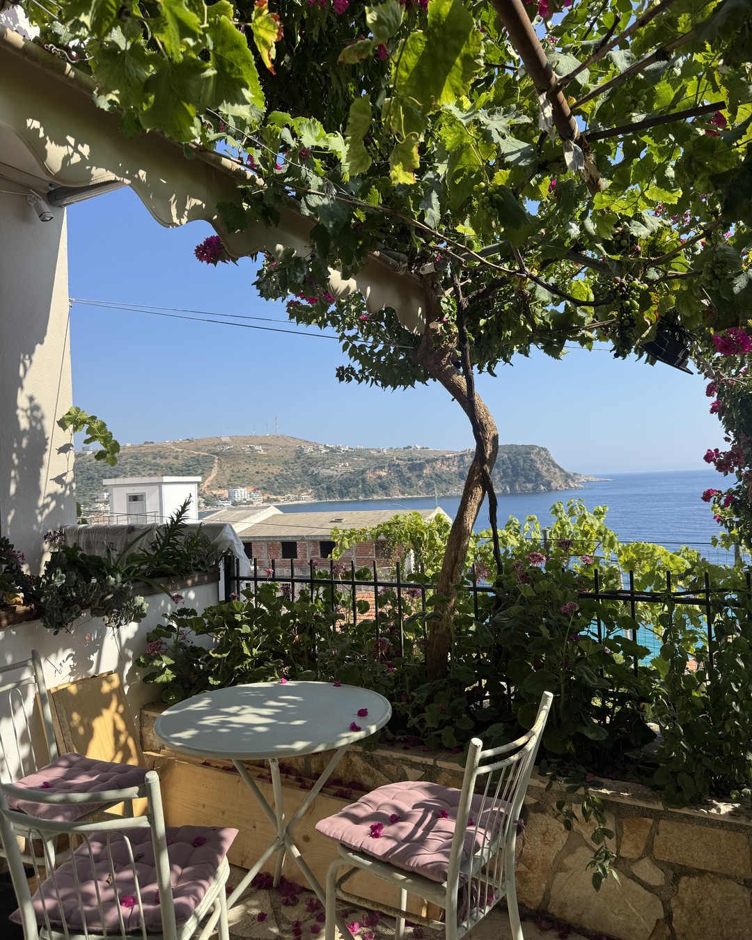 Vine-covered terrace with a table looking over rooftops to the bay at Himarë, Albania