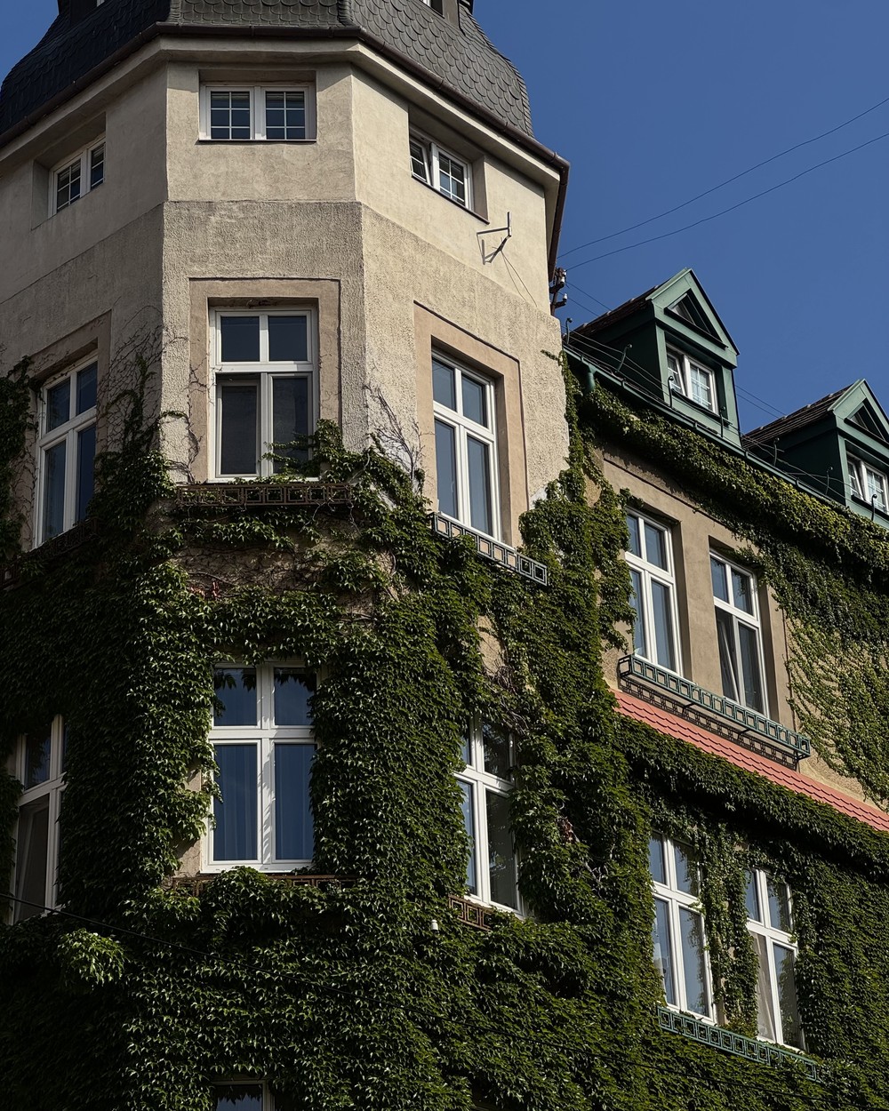 An ivy-covered building with tall windows on a street corner in Bratislava