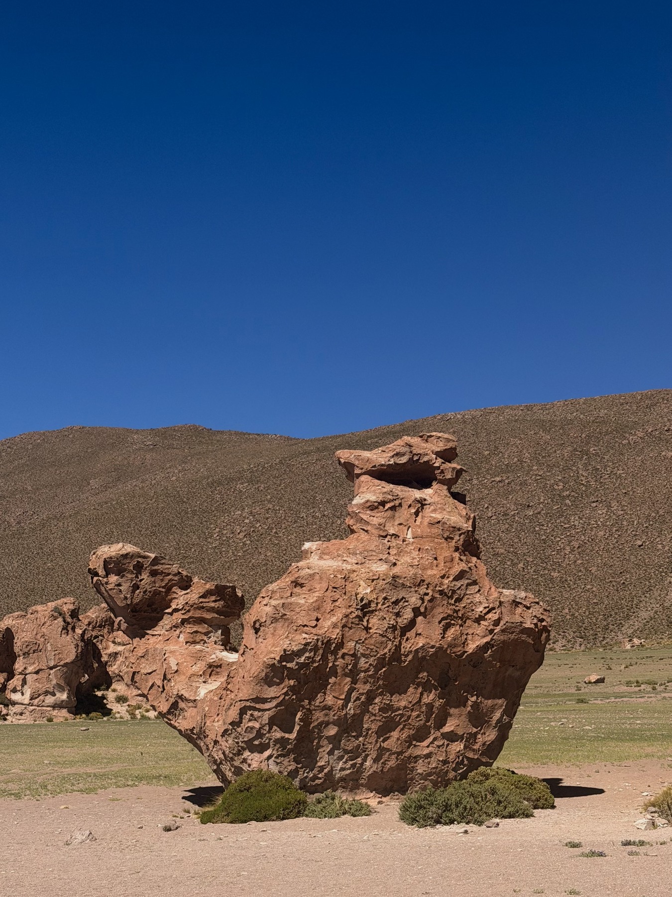 Camel-shaped rock formation on our Bolivia road trip