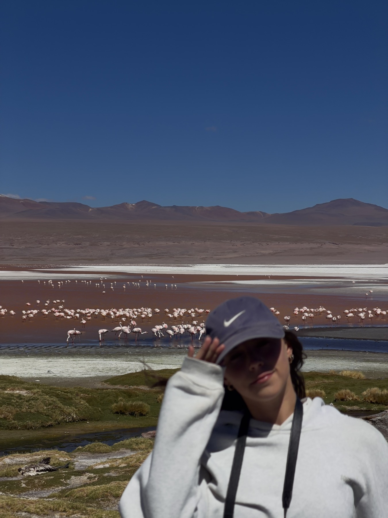 Ellen wrapped up beside flamingos at Laguna Colorada