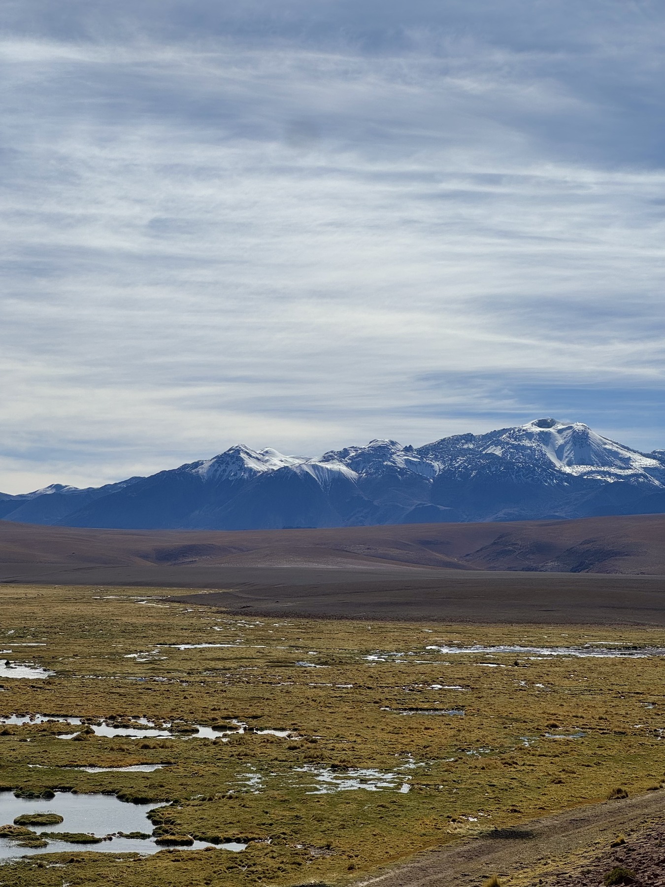 Wetlands and snow-dusted mountains on our El Tatio excursion
