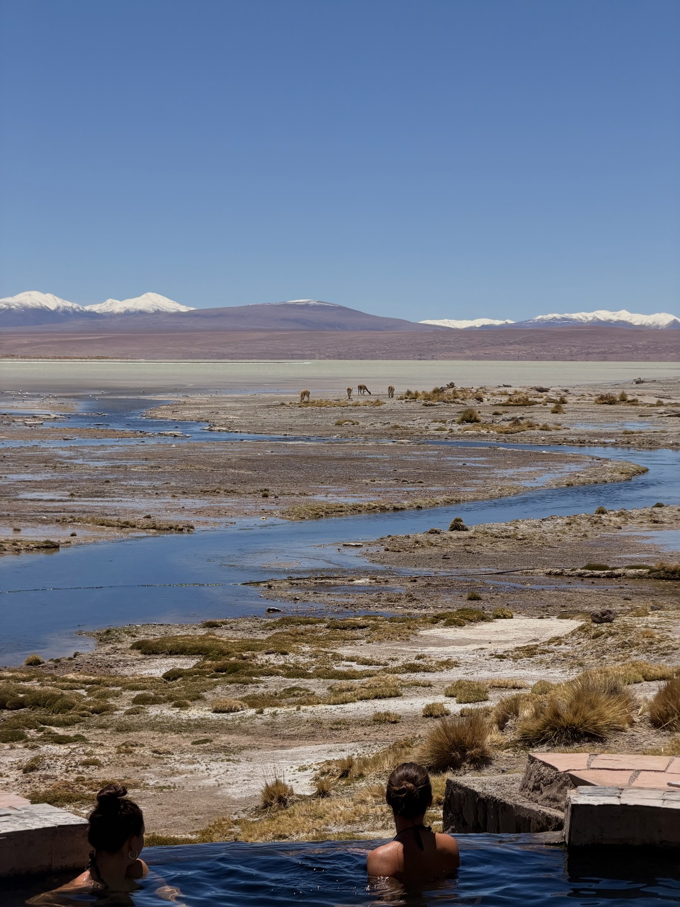 Travellers in the hot springs overlooking wetlands on our Bolivia crossing