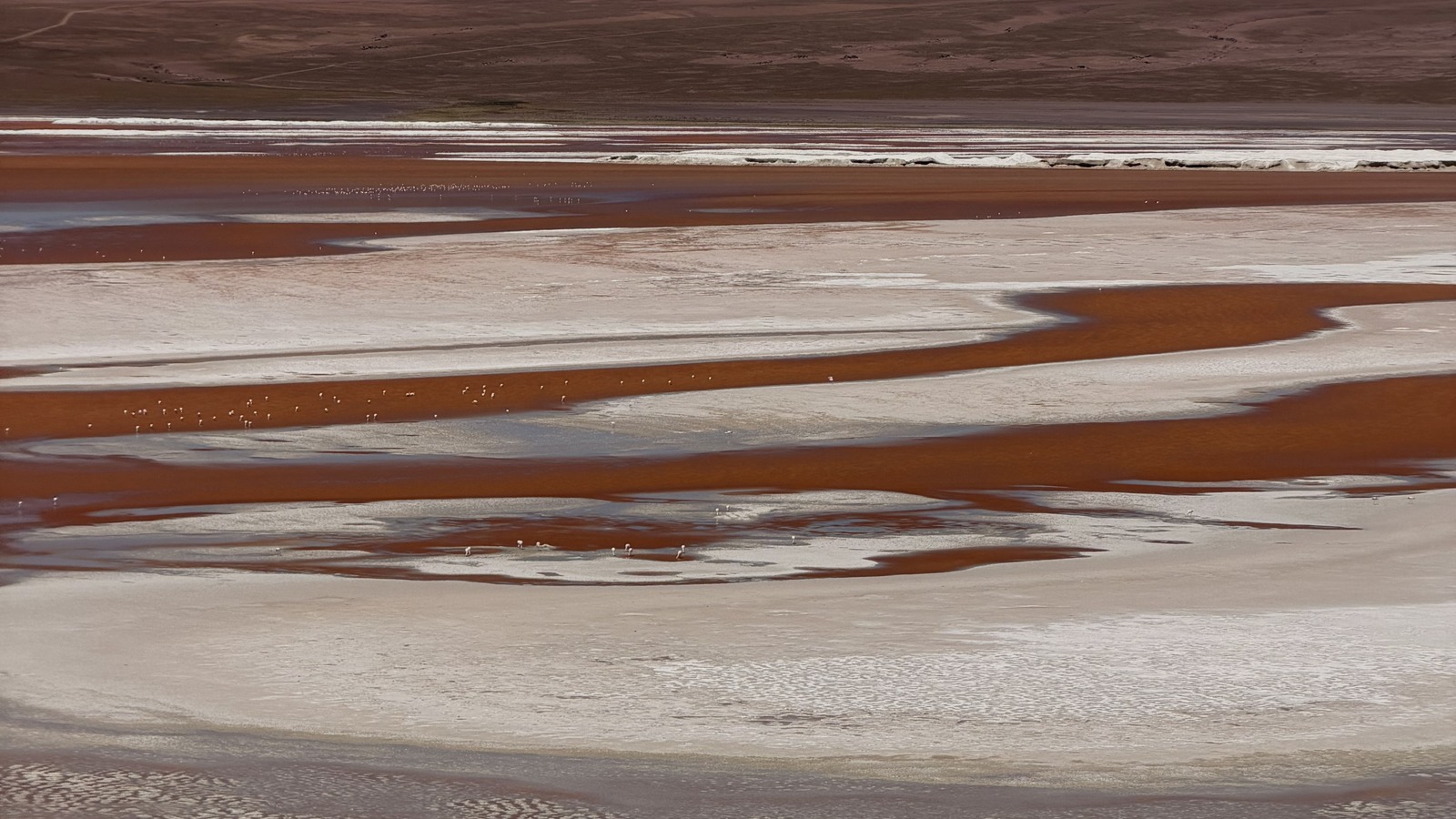 Red water and white shoreline below a mountain at Laguna Colorada
