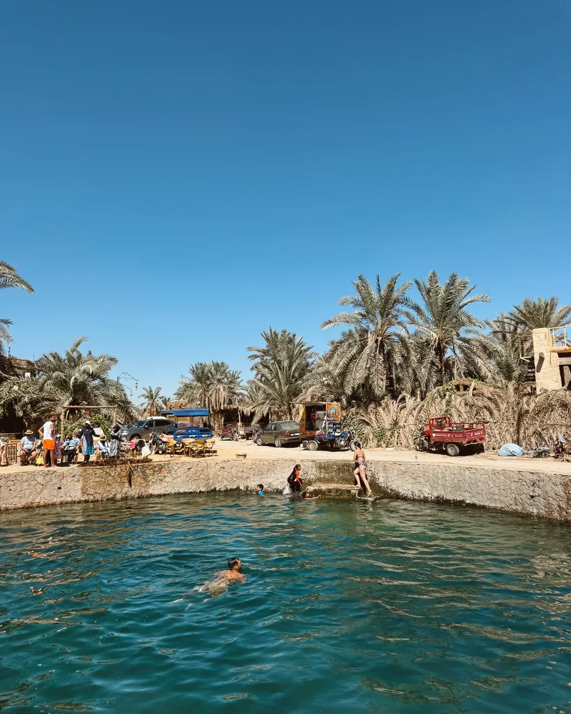 Cleopatras Spring in the Siwa Oasis