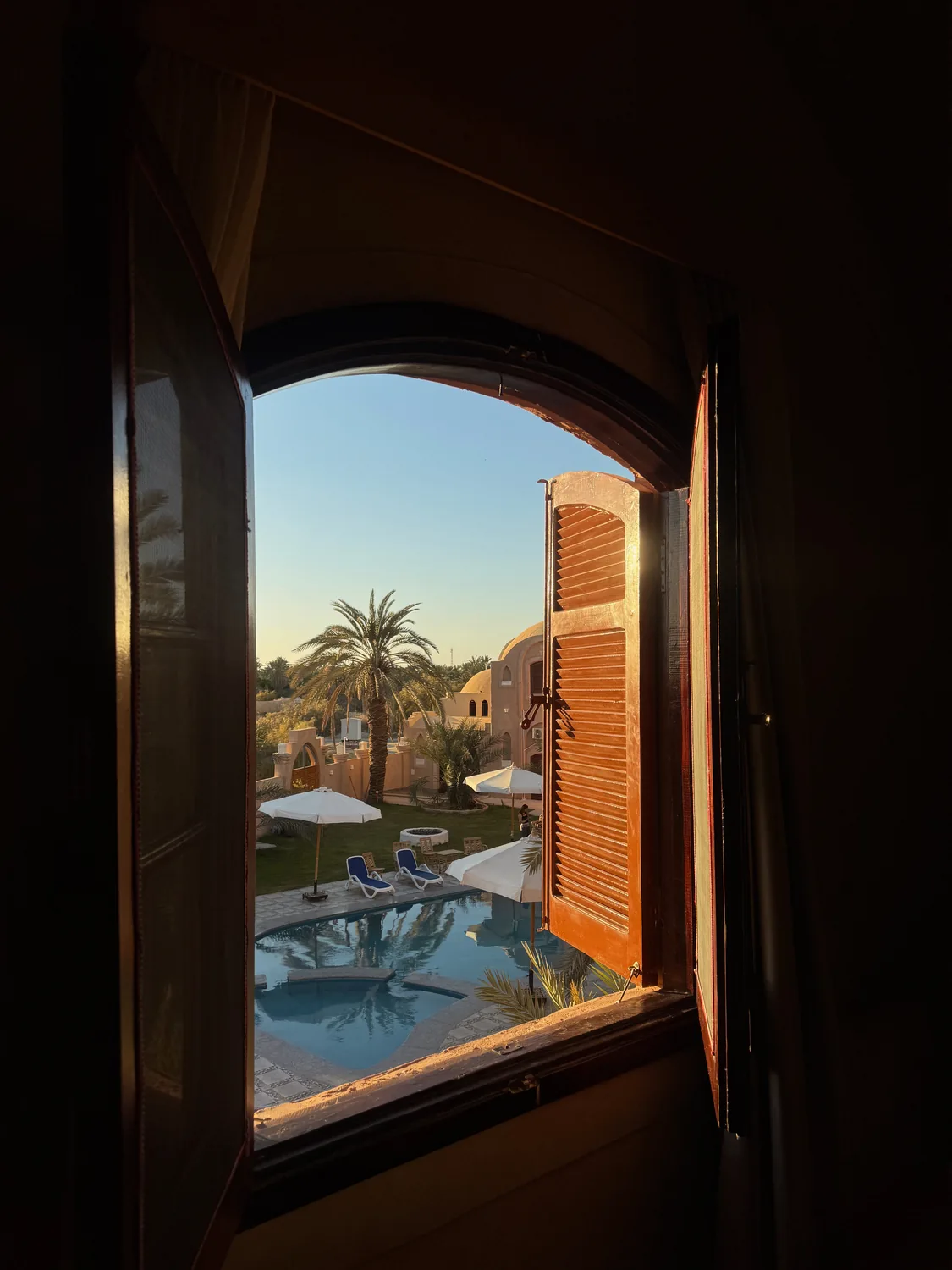 Morning view from our Luxor villa towards its pool and palm trees on the West Bank