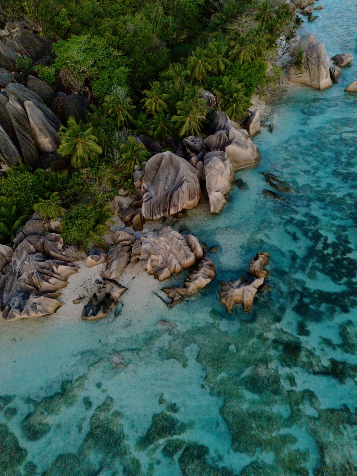 Granite boulders, palms and pale sand beside clear water at Anse Source d'Argent in Seychelles