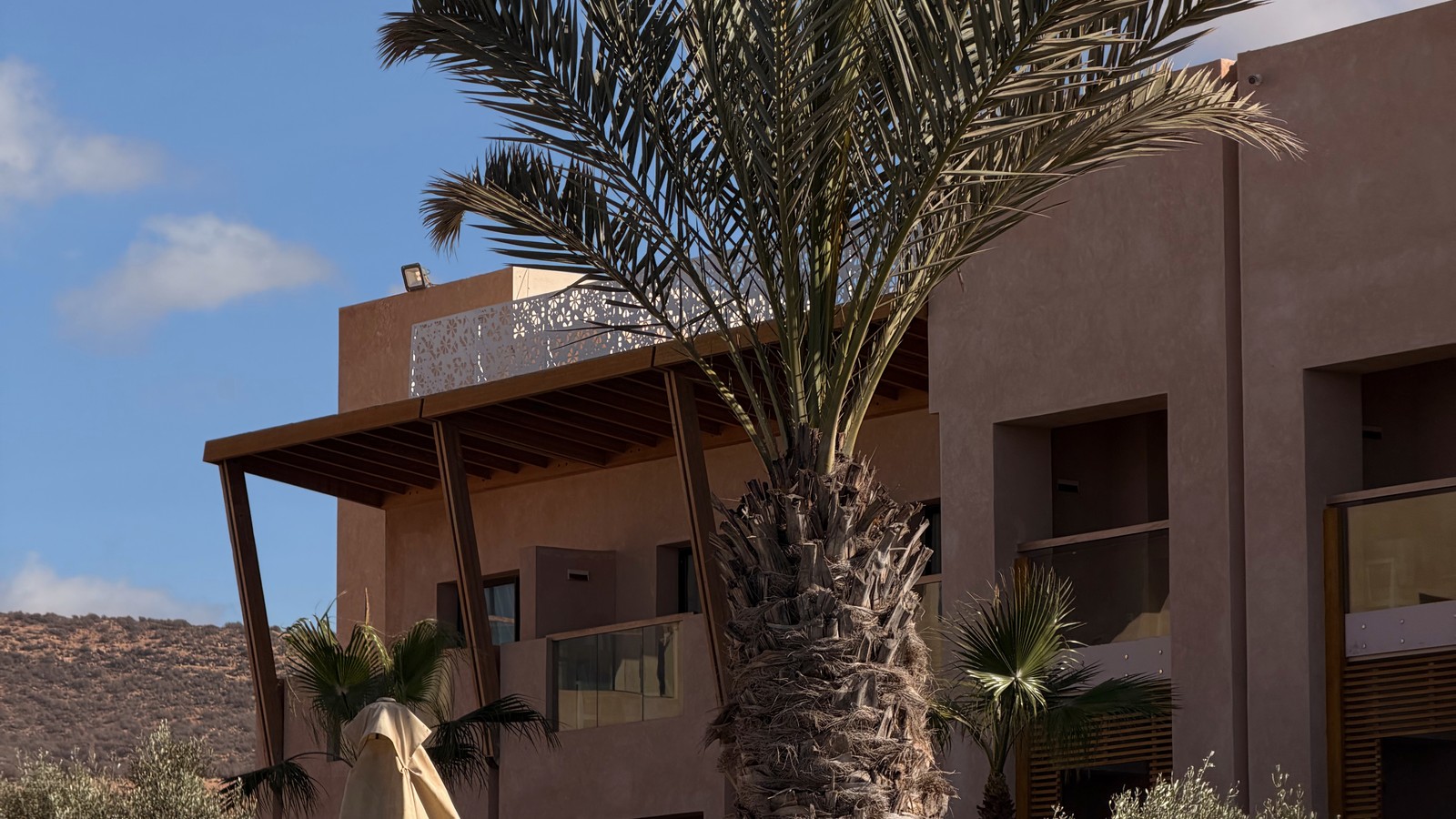 Palm trees and low buildings under a clear blue sky at Taghazout Bay, Morocco