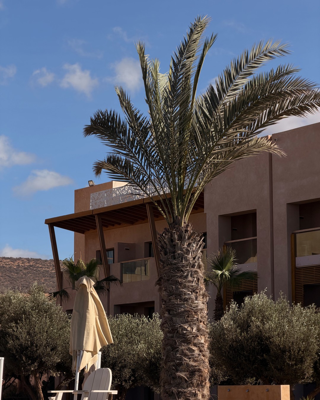Palm trees and low buildings under a clear blue sky at Taghazout Bay, Morocco