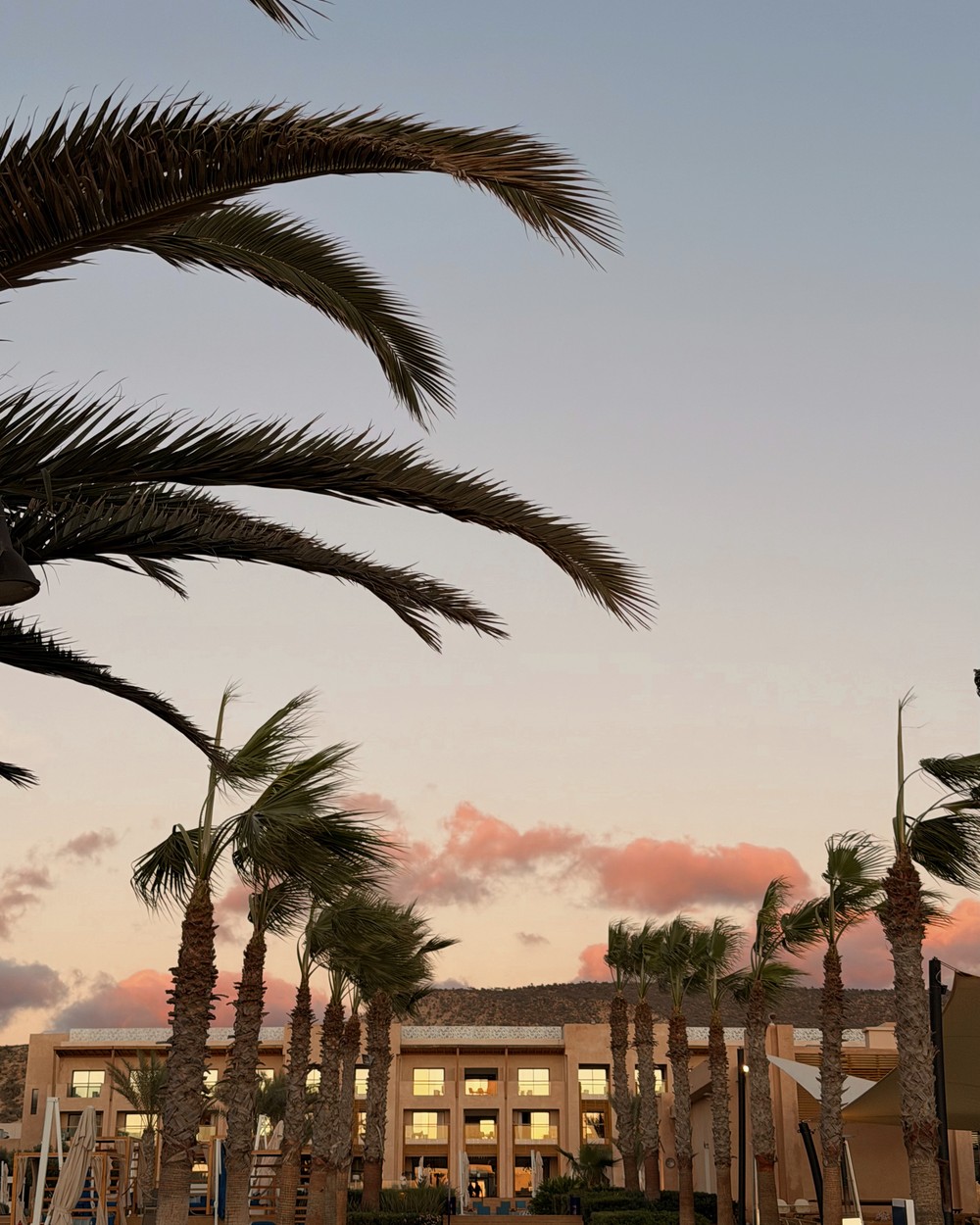 Palm trees against a dusk sky above a lit resort in Taghazout Bay, Morocco