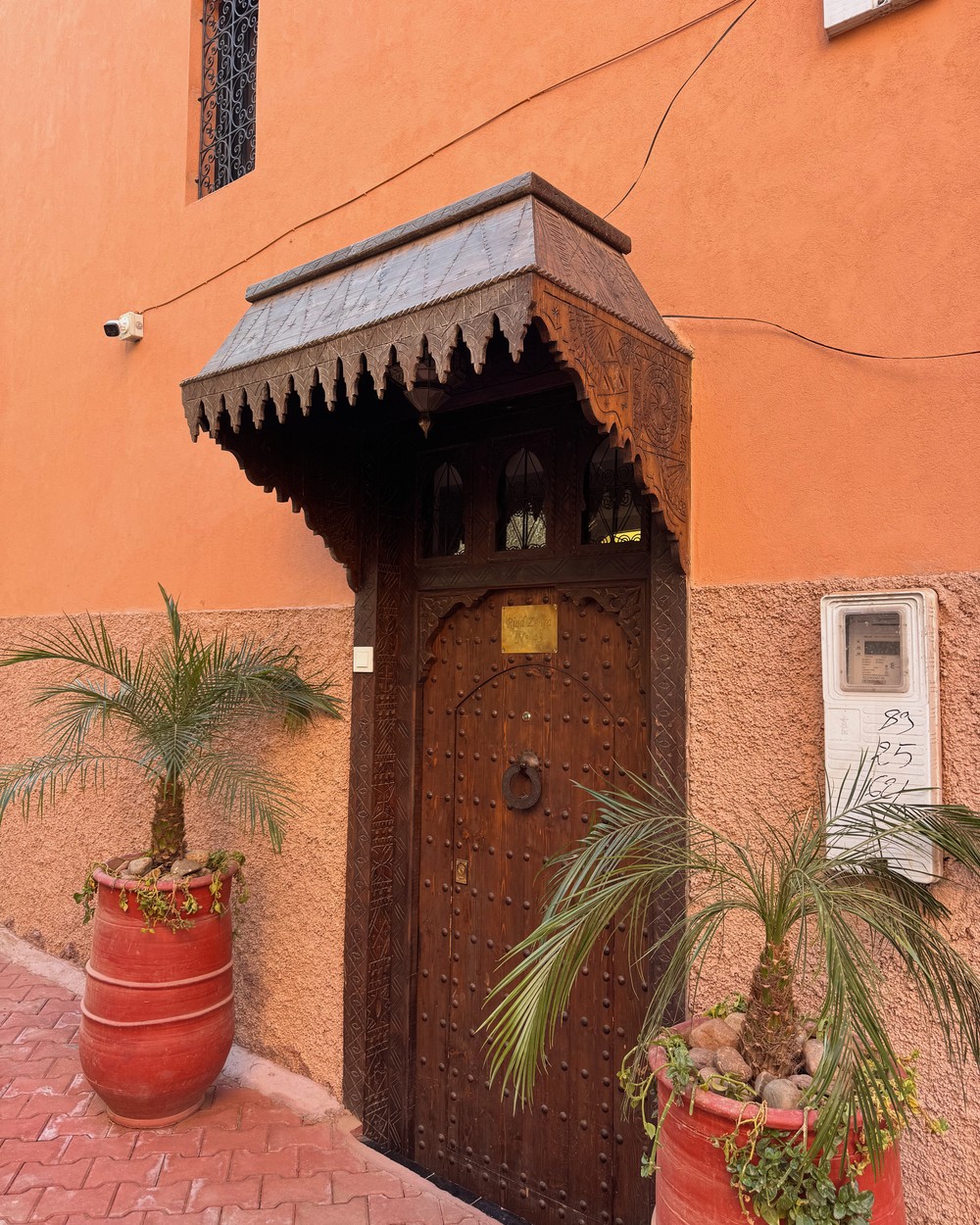 Ornate carved wooden riad door in a pink medina wall with potted palms in Marrakech, Morocco