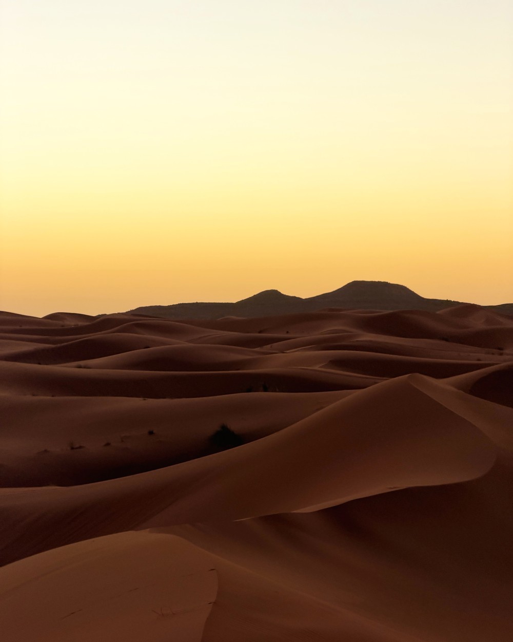 Soft light across rolling sand dunes stretching to the horizon in the Sahara at Merzouga, Morocco