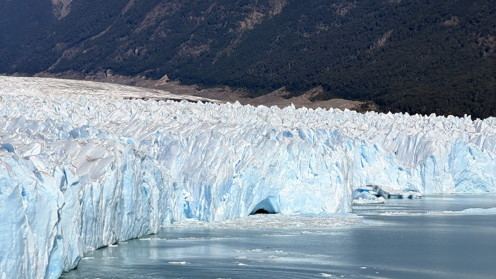 The front of Perito Moreno Glacier below the forested mountainside