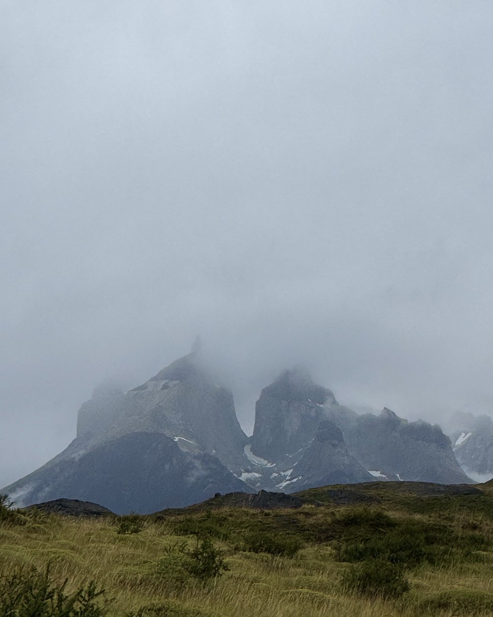 Torres del Paine's horn-shaped peaks wrapped in cloud above the grassland