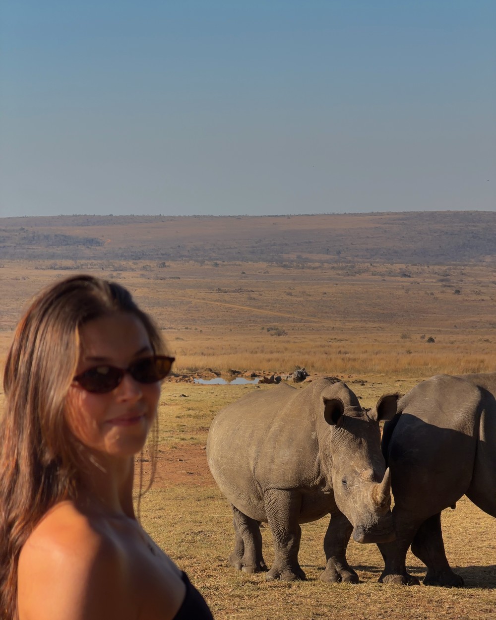 Woman in a safari vehicle watching two rhinos standing in dry grass