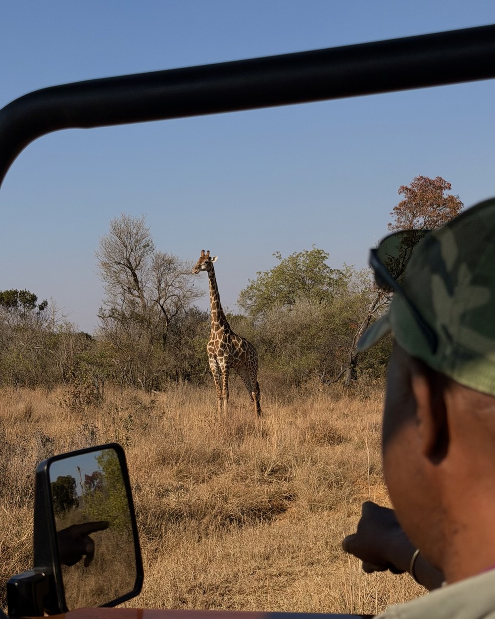 A safari guide pointing out a giraffe from the front of the vehicle