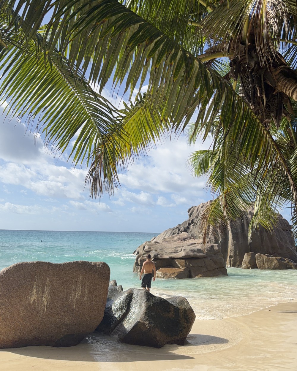 Palms, granite boulders and turquoise water at Anse Patates on La Digue