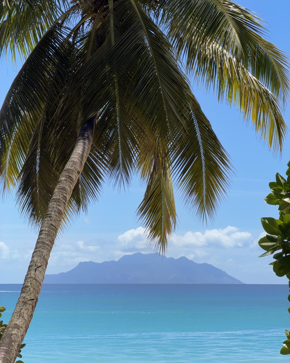 Calm turquoise water and palms at Beau Vallon, one of the best beaches on Mahe