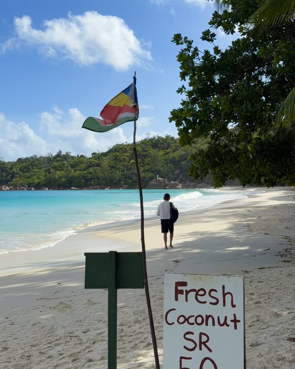 The Seychelles flag standing straight out in strong wind above a flat turquoise bay at Anse Lazio, Praslin