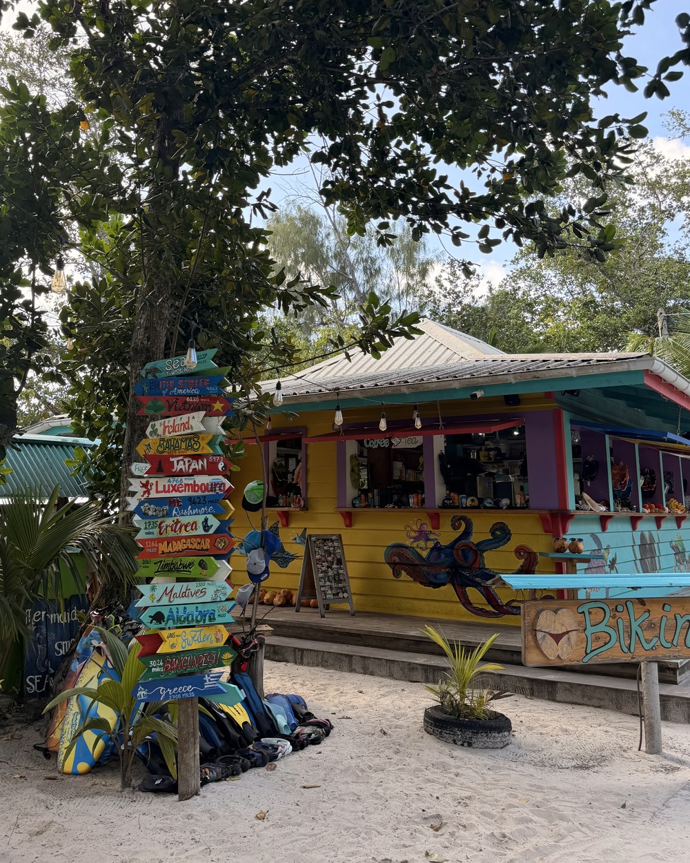 The colourful Bikini Bottom beach bar with painted signposts on La Digue, Seychelles