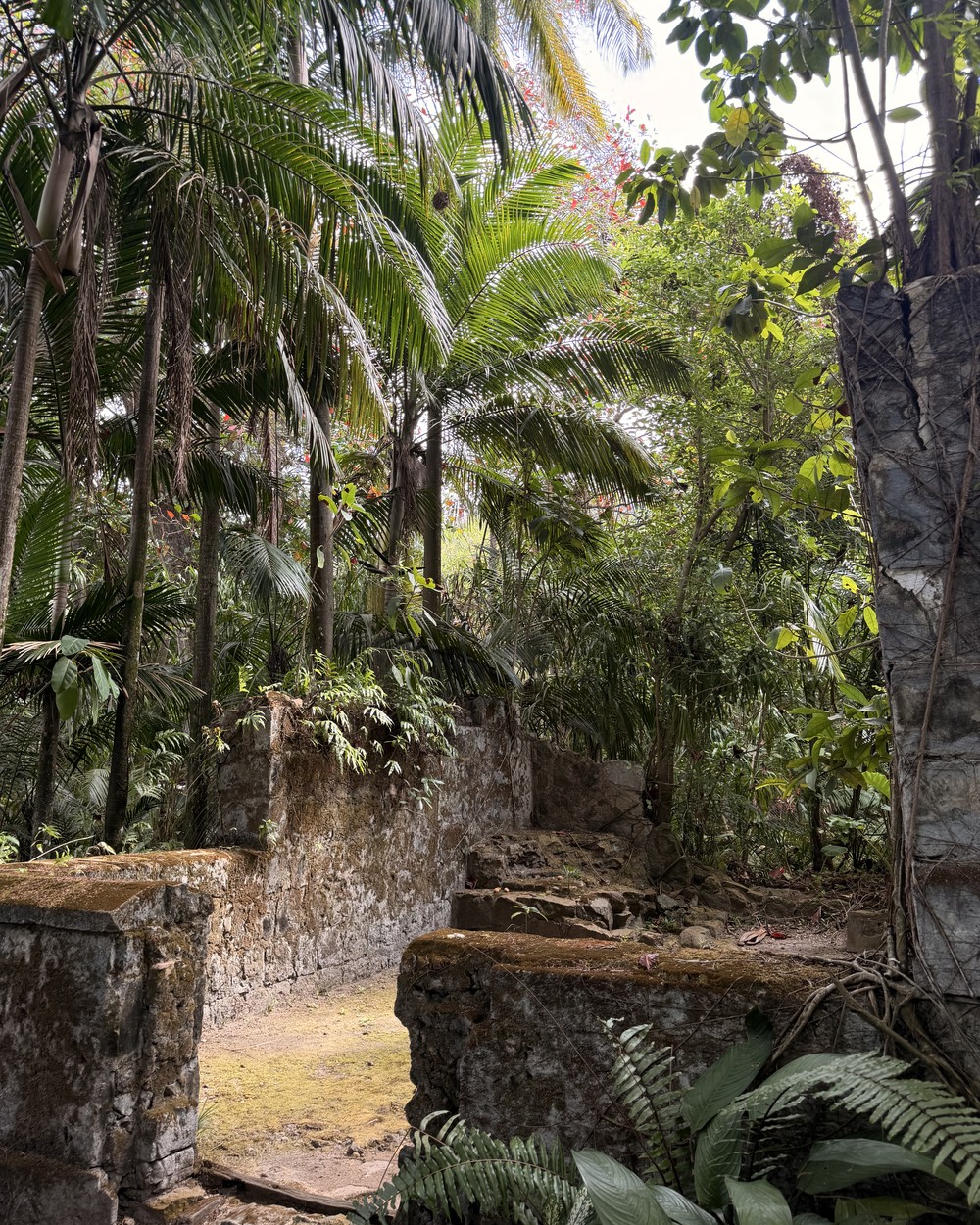 Stone kitchen ruins from the 1800s in the tropical gardens at Takamaka Rum Distillery on Mahe