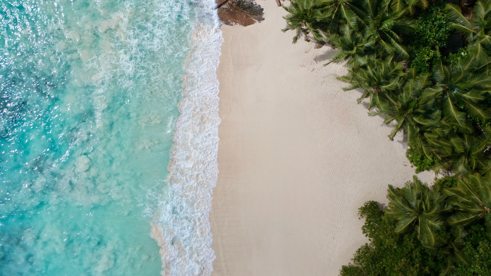 Aerial view of turquoise water, white sand and palms at Petite Anse on Mahe in Seychelles