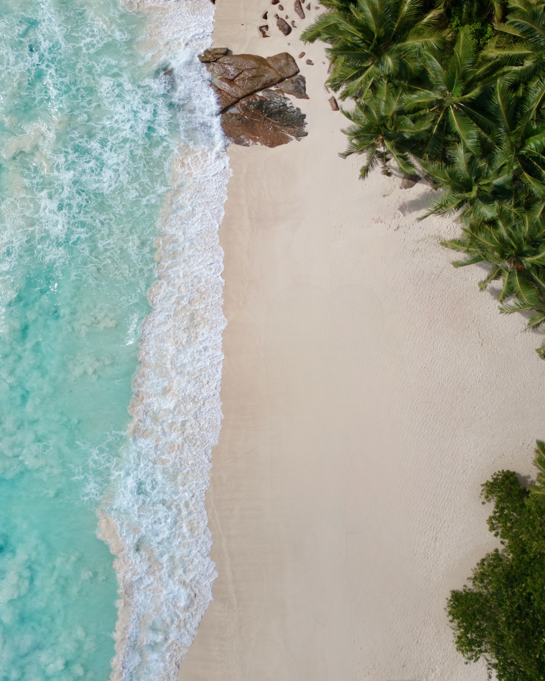 Aerial view of turquoise water, white sand and palms at Petite Anse on Mahe in Seychelles