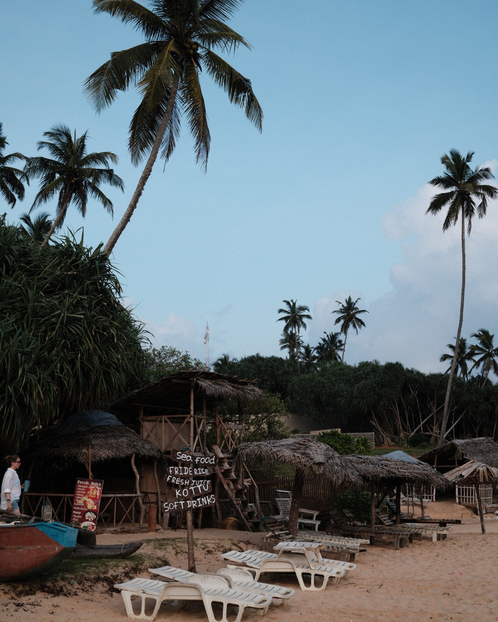 Empty sun loungers on the sand under palms on the south coast of Sri Lanka