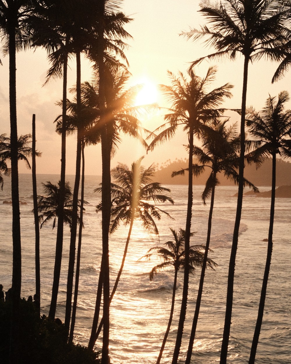 Sun setting through coconut palms over the ocean on the south coast of Sri Lanka
