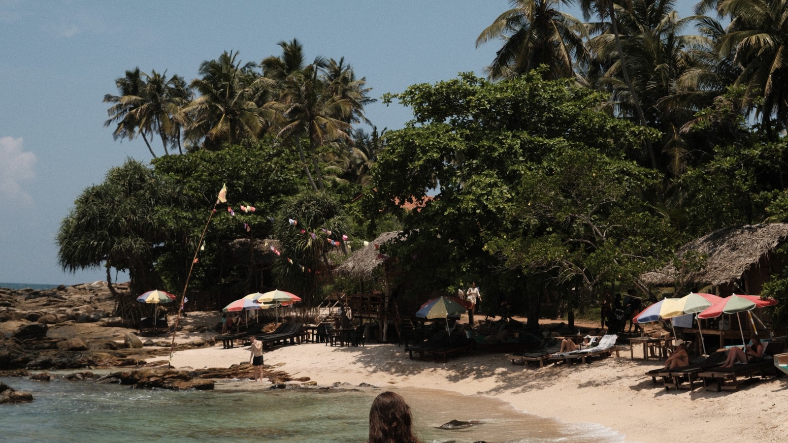 Curved sandy bay backed by a jungle headland on the south coast of Sri Lanka