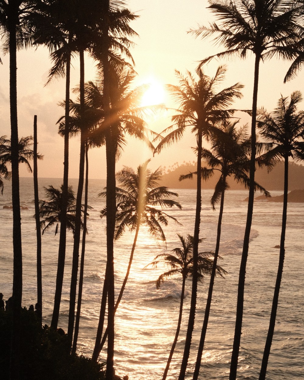Sun setting through coconut palms over the sea at Mirissa, Sri Lanka