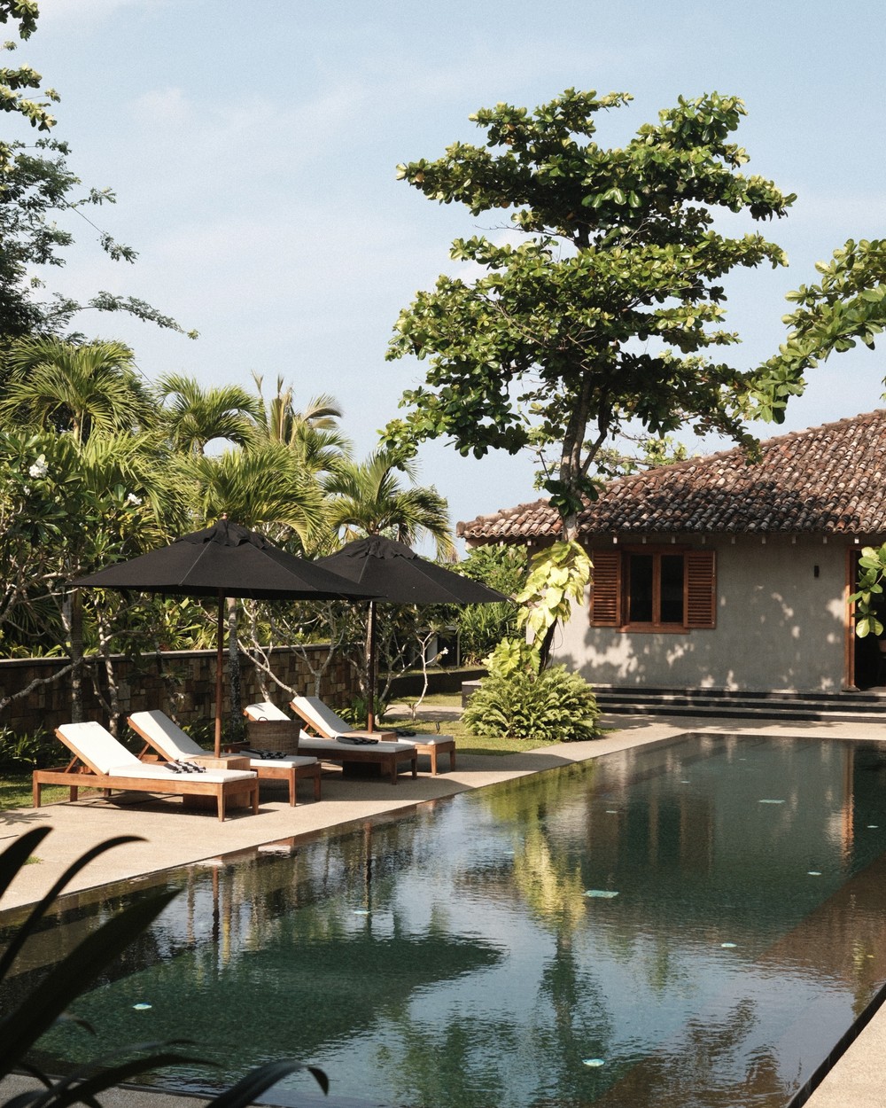 Teak loungers under black umbrellas beside a long lap pool at a villa in southern Sri Lanka