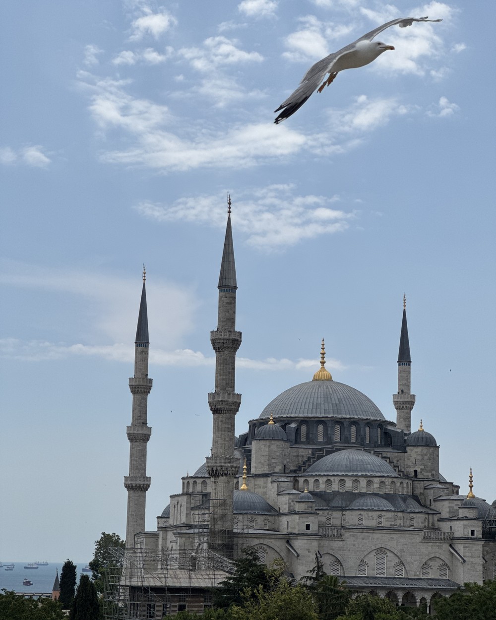 The domes and minarets of the Blue Mosque in Istanbul