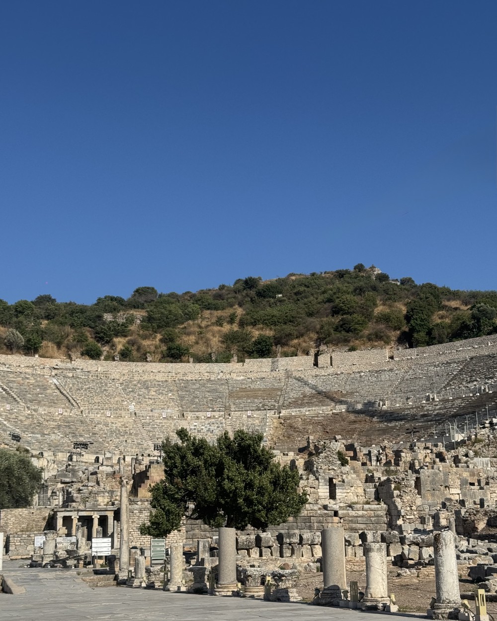 The Great Theatre of the ancient city of Ephesus carved into the hillside