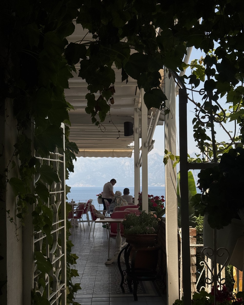 Vine covered terrace looking out to the sea in Antalya
