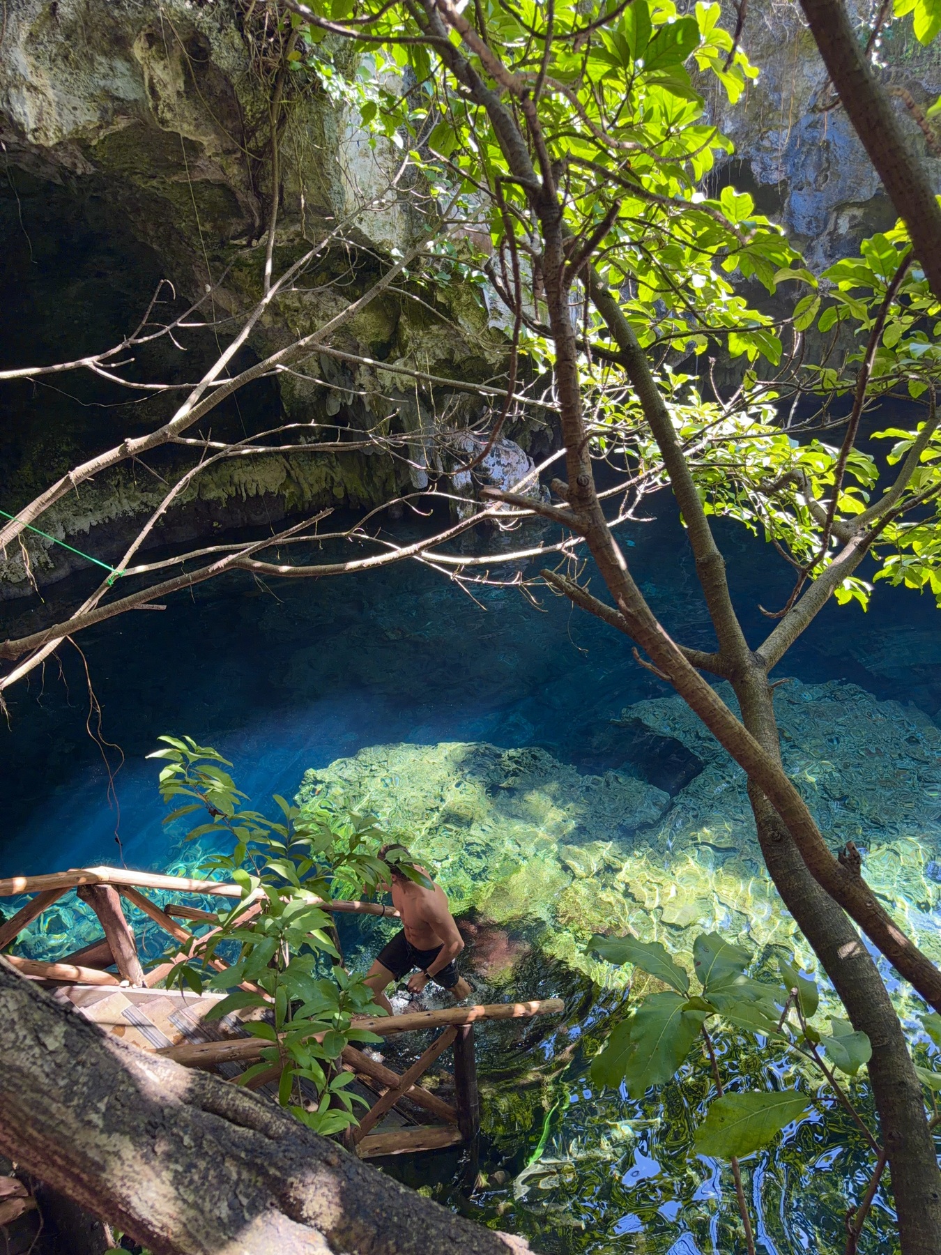 Tree branches and wooden railings above the clear water at Maalum Cave in Paje
