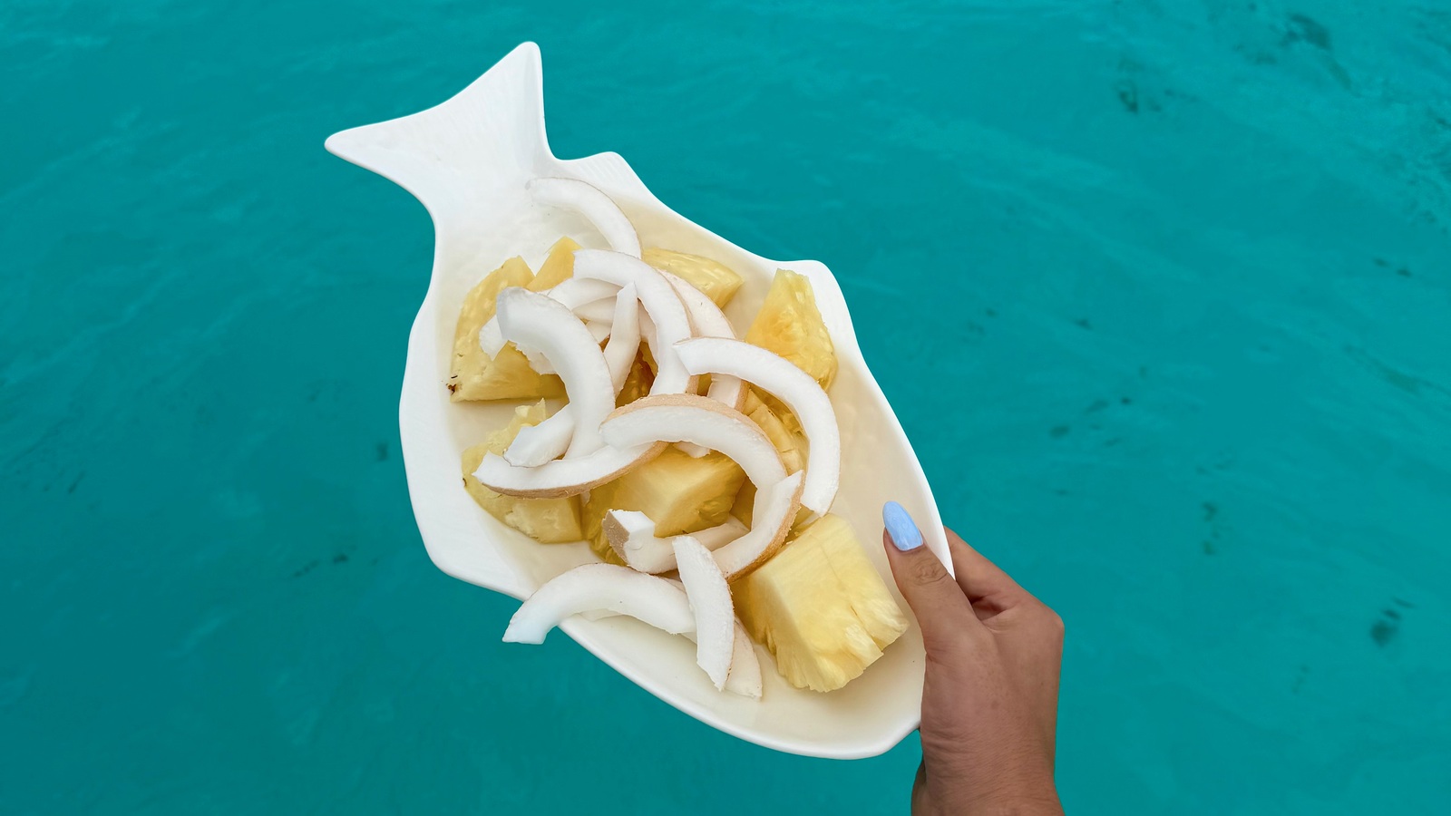 Fresh coconut and pineapple above turquoise water after snorkelling near Mnemba Island