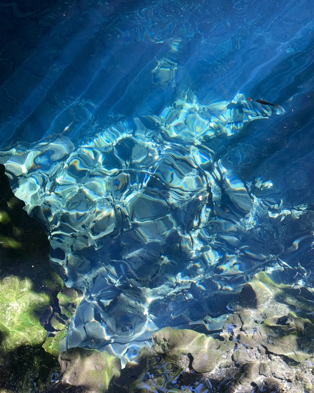Light falling through the water at Maalum Cave natural swimming pool near Paje
