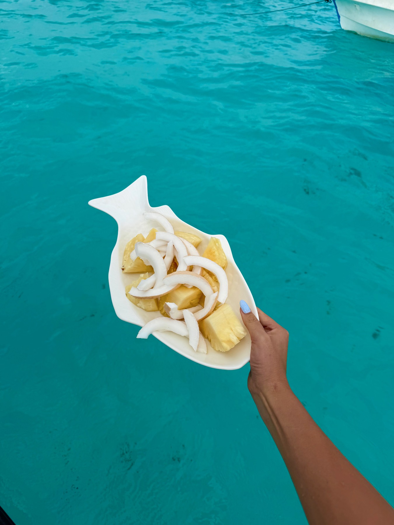 Fresh fruit on our boat after snorkelling around Mnemba, Zanzibar