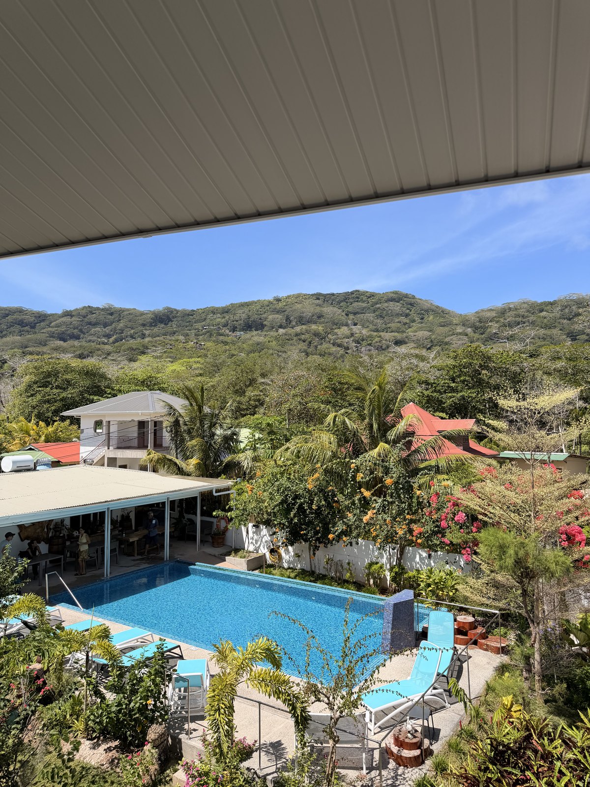 Pool and garden at our MAZU apartment on La Digue