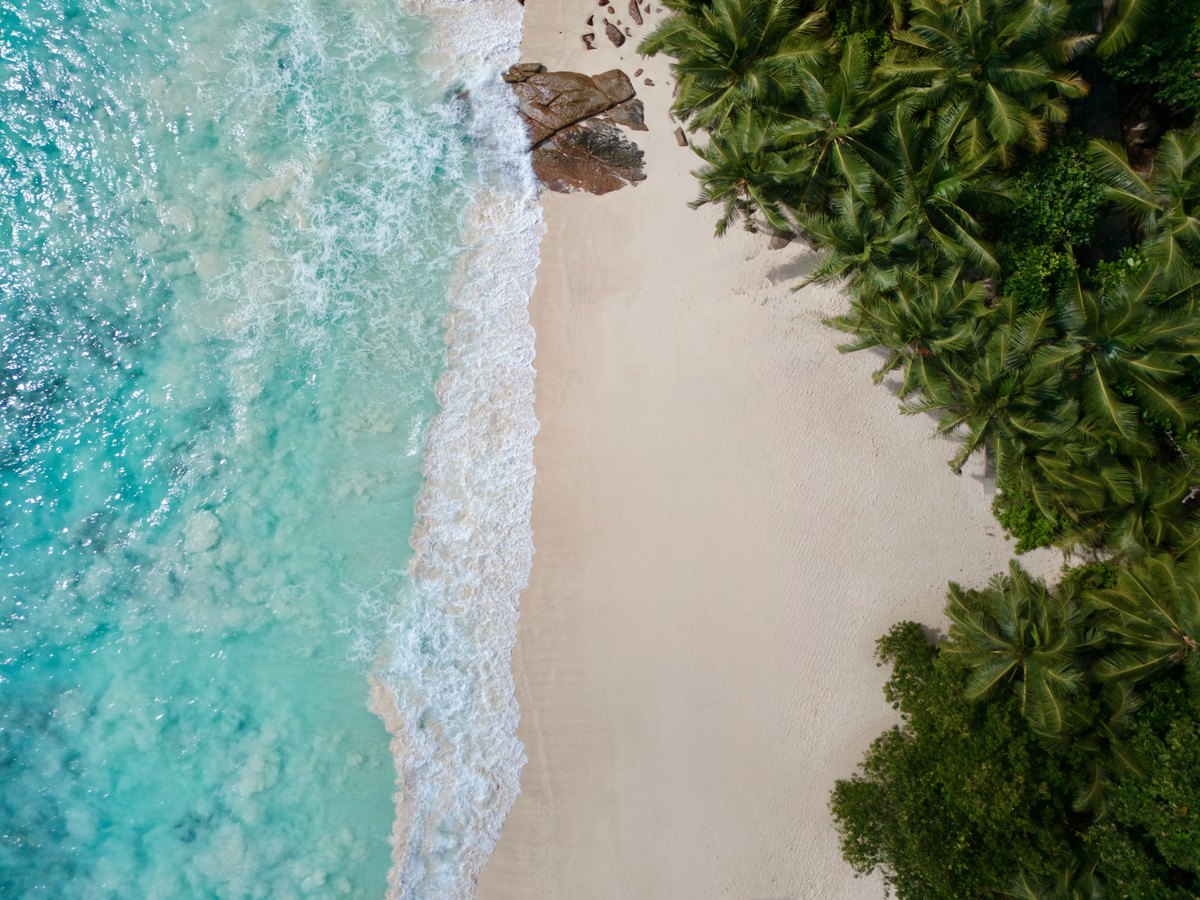 Aerial view of the white sand, turquoise water and palms at Petite Anse on Mahe