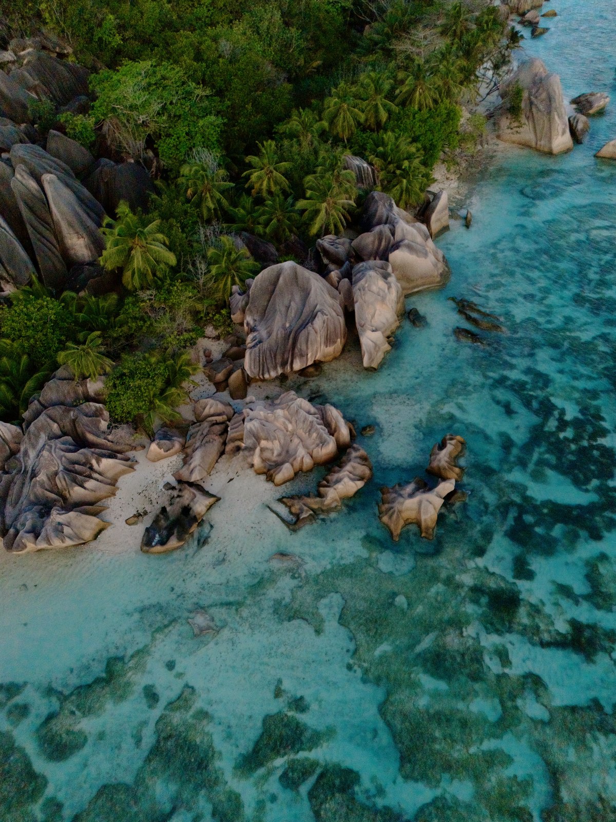 Granite boulders, palms and shallow turquoise water at Anse Source d'Argent on La Digue