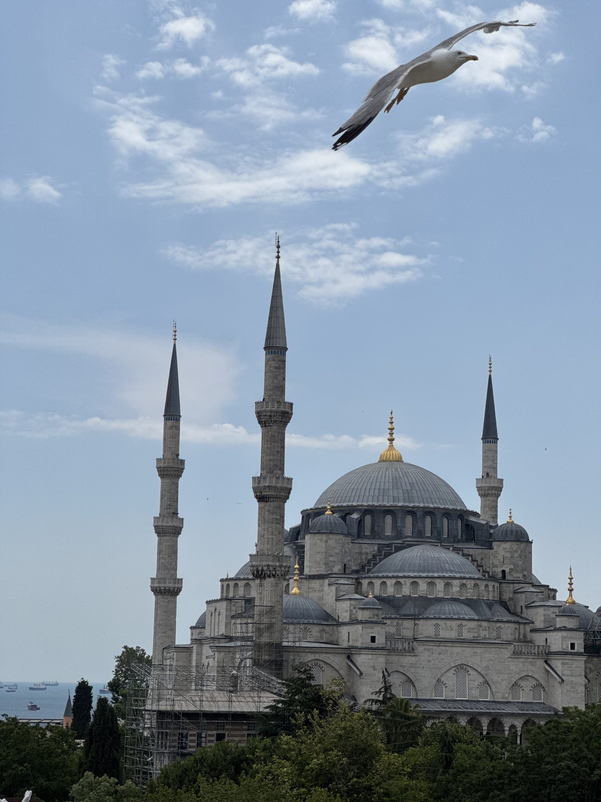 The Blue Mosque