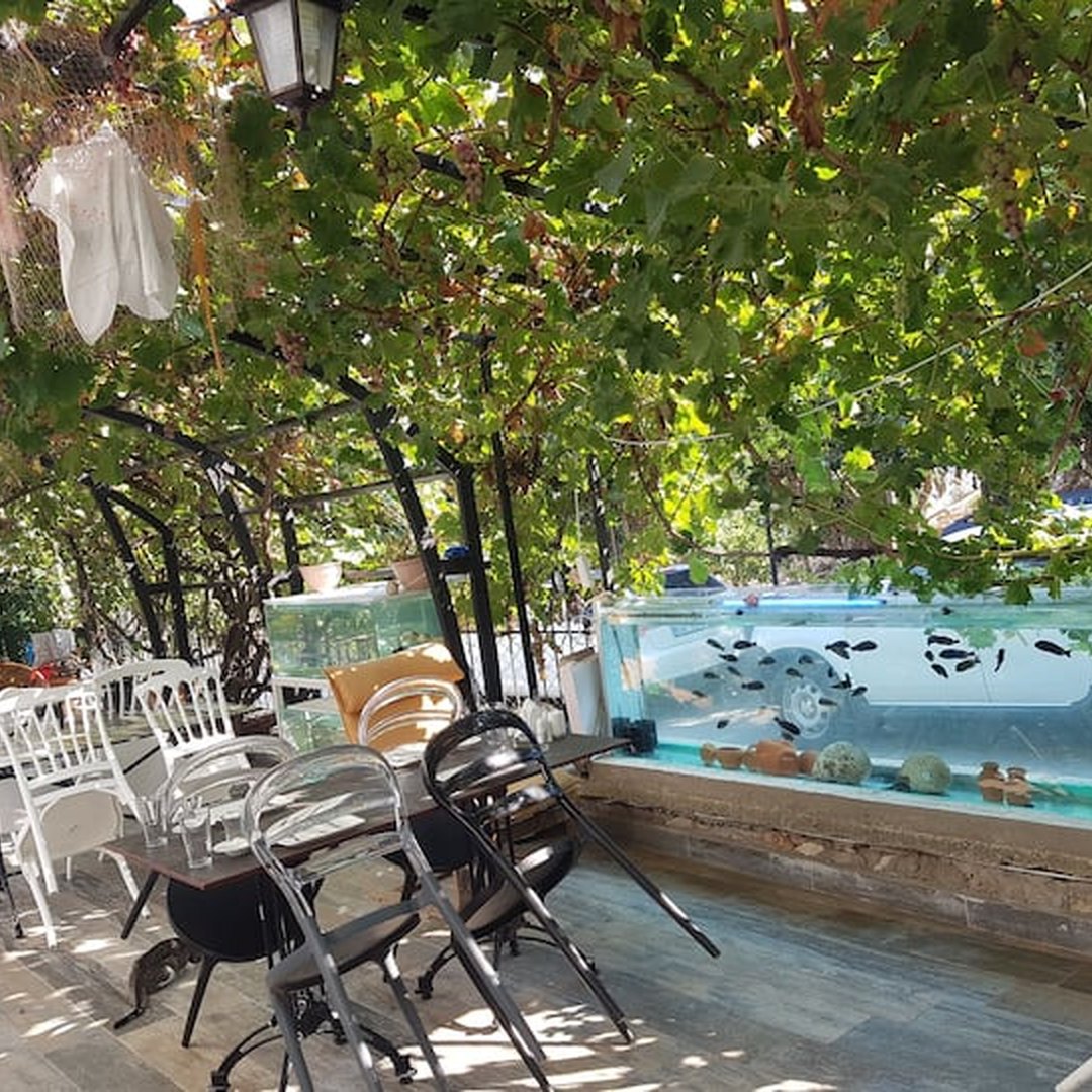 Our Çeşme/Alaçatı Airbnb
