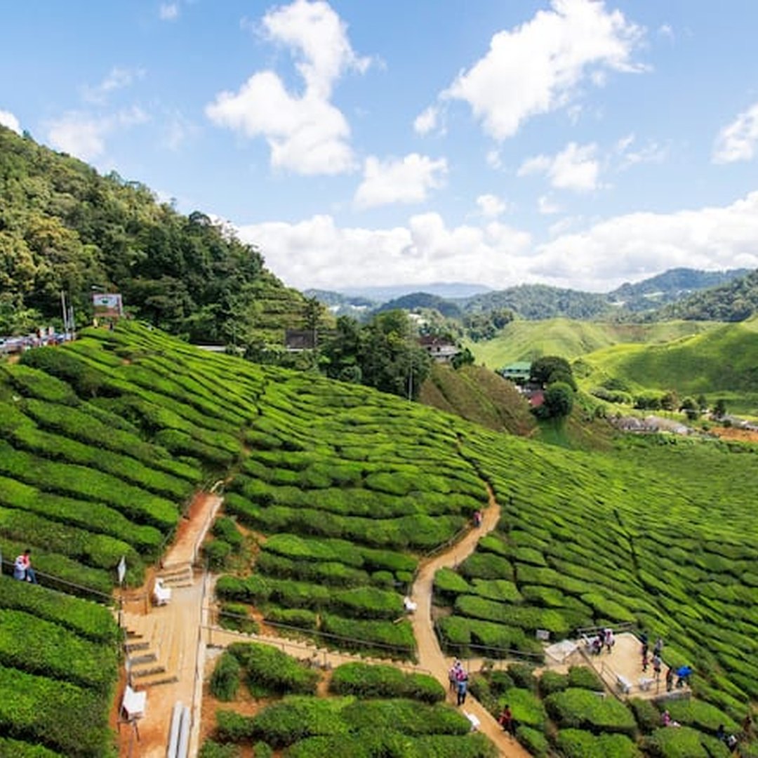 Our Cameron Highlands Airbnb