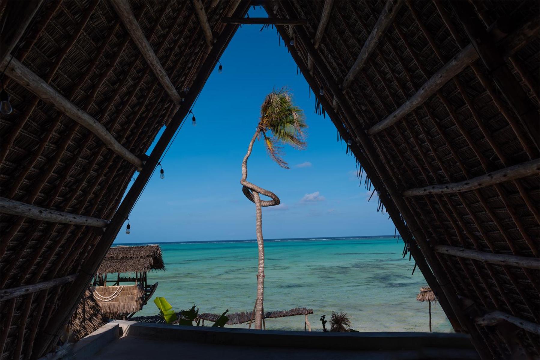 Ocean and palm tree framed by a thatched roof at Be Zanzibar Boutique Hotel in Jambiani